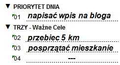 planer dzienny