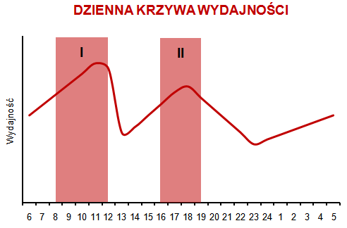 dzienna wydajność